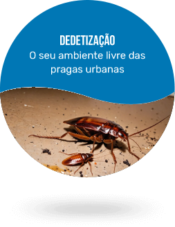 dedetização